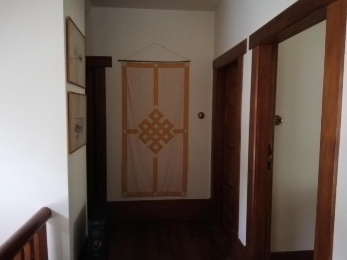 Joya Garden & Villa Studios Nelson Zewnętrze zdjęcie