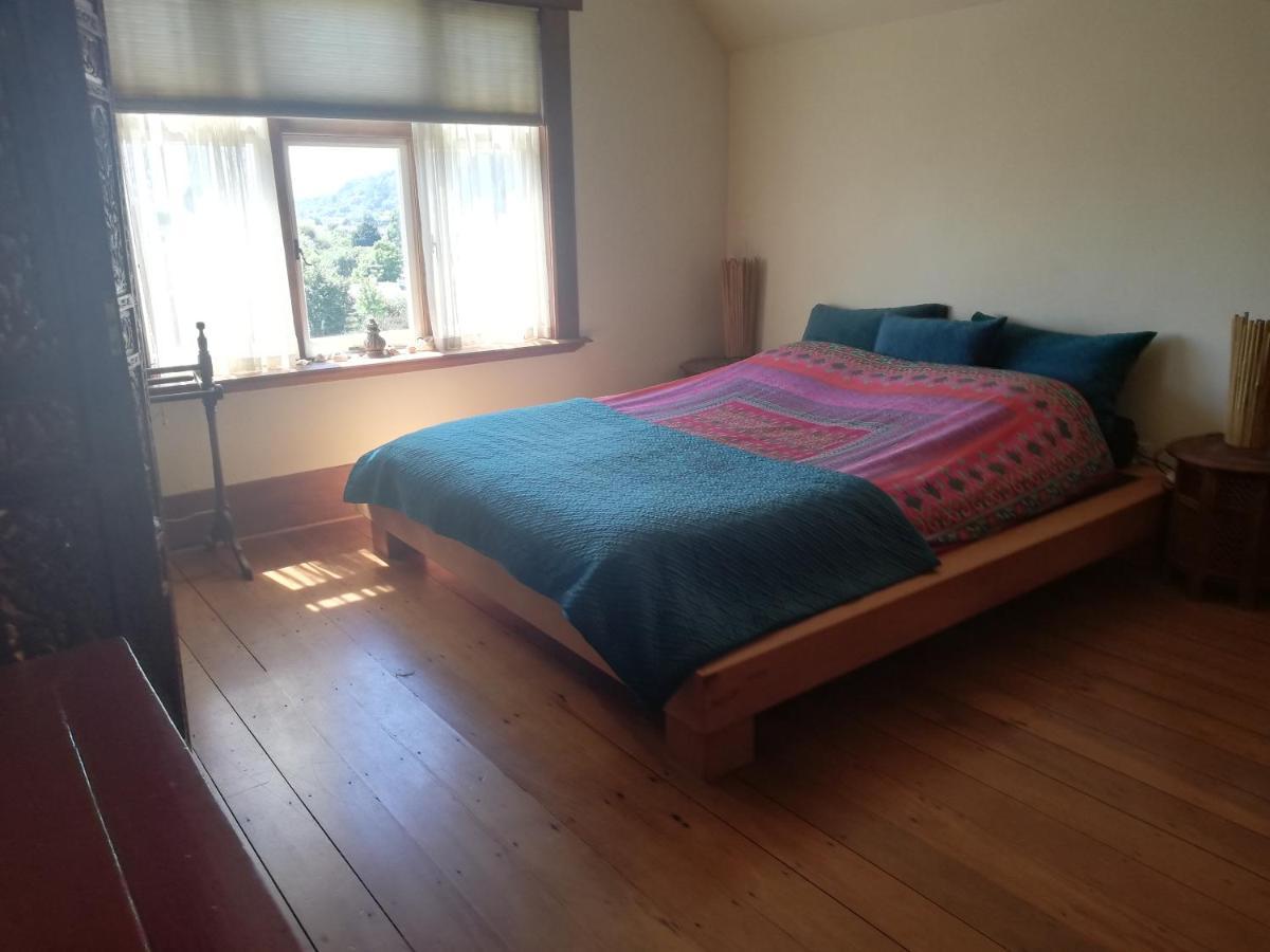 Joya Garden & Villa Studios Nelson Zewnętrze zdjęcie